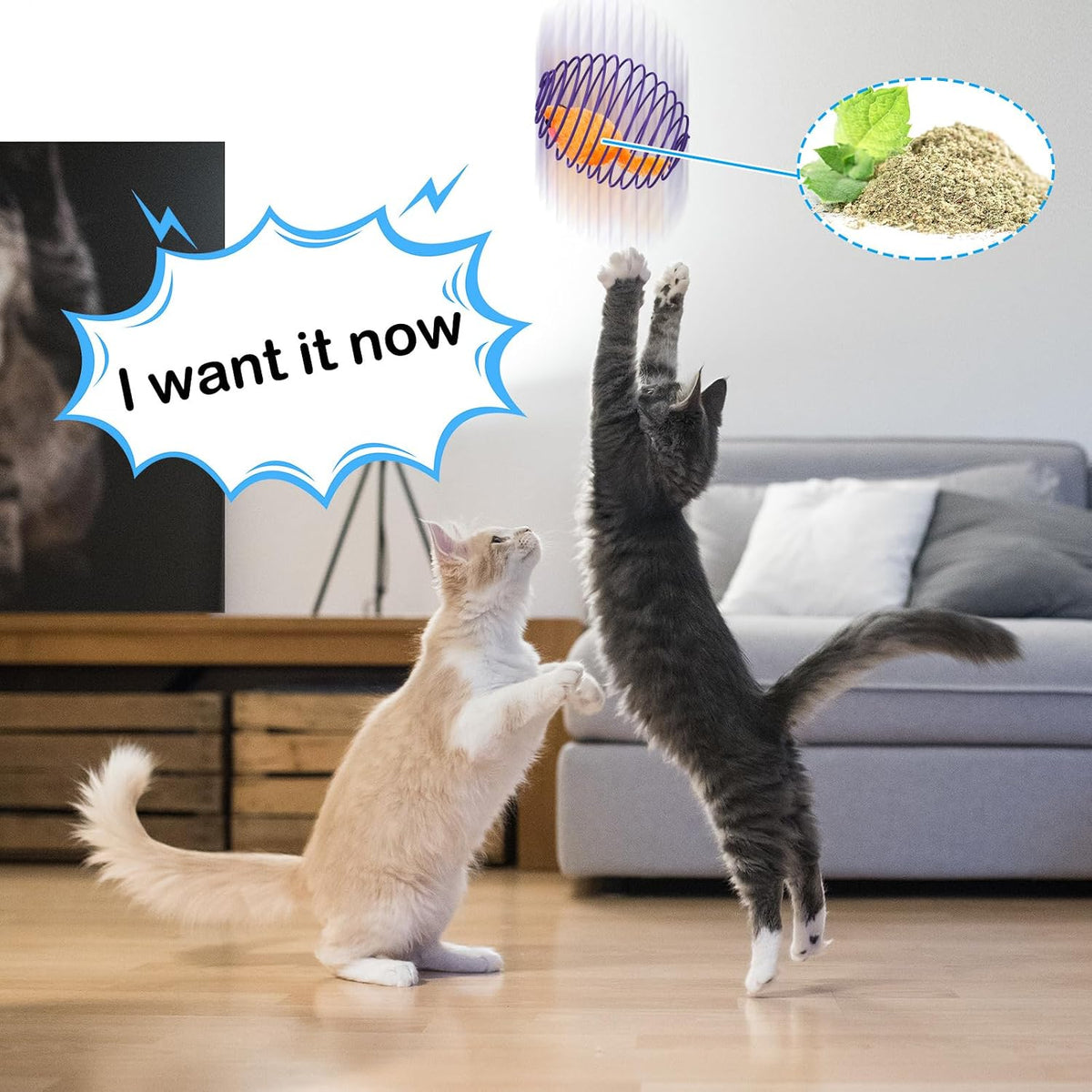 Jecery 5 Pcs Cat Toys Spring,Catnip Rats,Multicolor