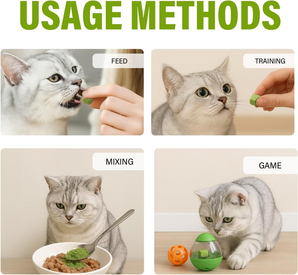 AiRunTech Cat Grass Treats, Cat Grass for Indoor Cats, 120g
