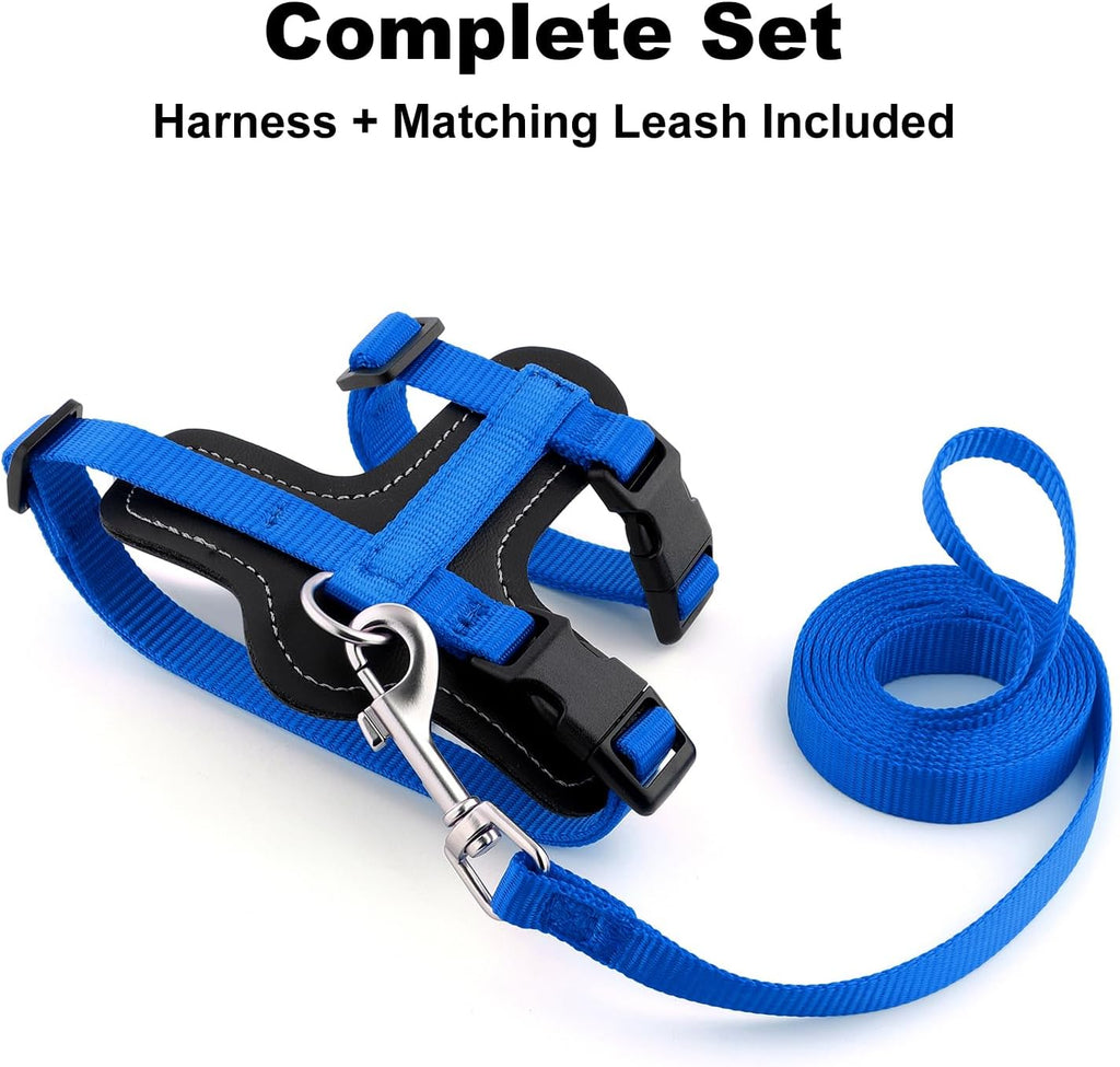 Plutus Pet Adjustable Cat Harness and Leash Set, with Leather Trim