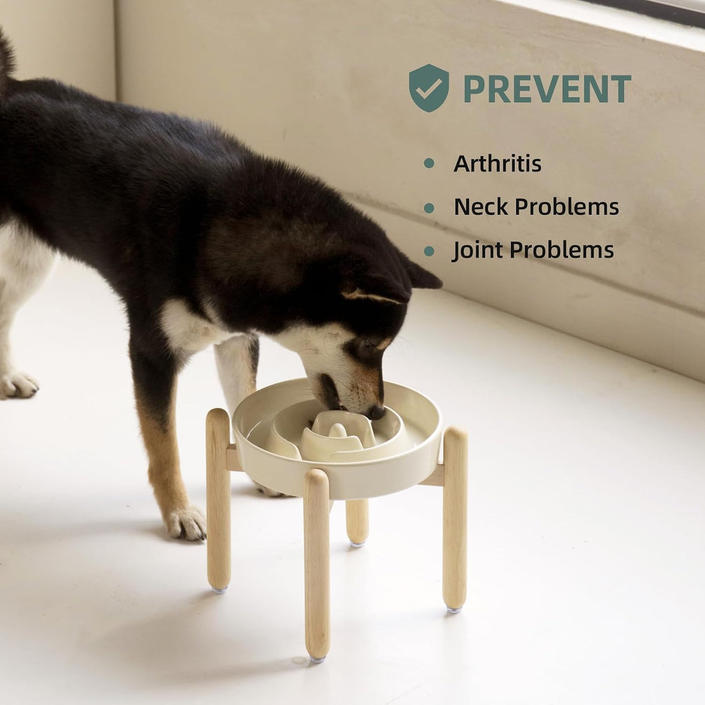 Havniva Elevated Slow Feeder Dog Bowls, 8.3 in Ceramic Slow Feeder Bowls