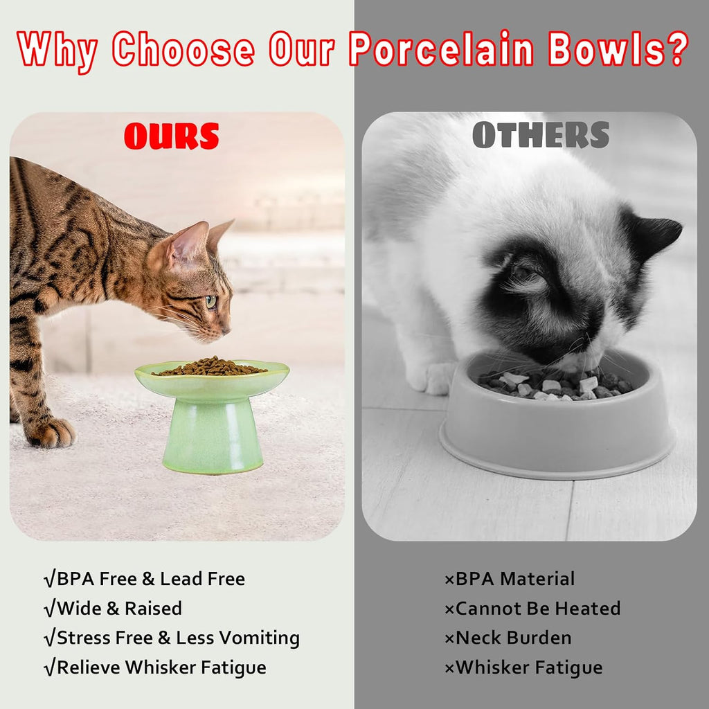 Wide Shallow 6.1" Raised Cat Bowls, Ceramic Elevated Food Bowl for Flat Faced Cats and Small Dogs, Porcelain Feeder Bowl, Stress Free, Protect Cat’s Spine, Green