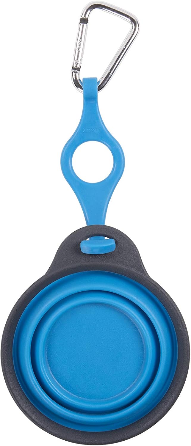 Dexas Pets Collapsible Travel Pet Cup with Bottle Holder and Carabiner, Pro Blue 