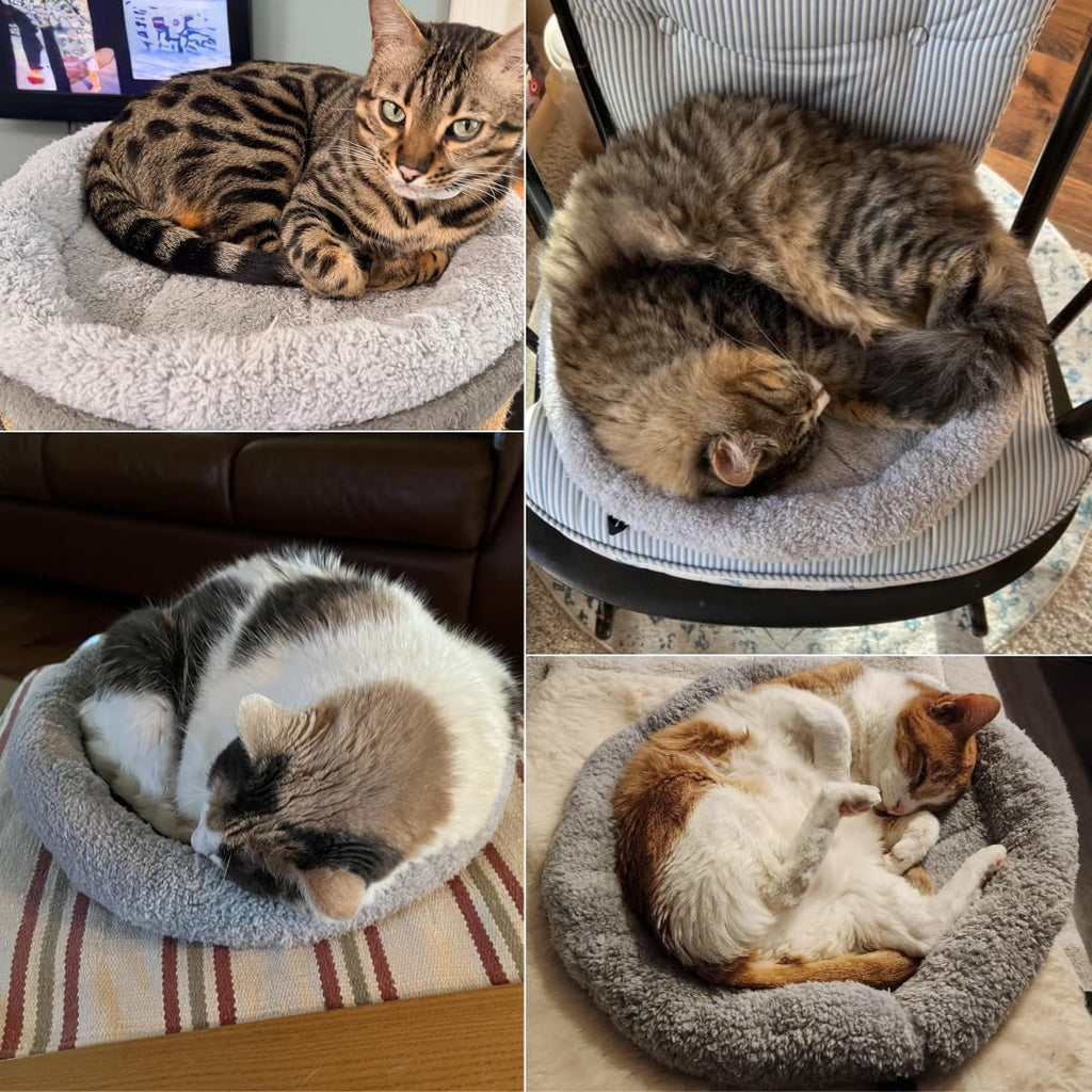 LESYPET Cat Bed for Indoor Cats, Small Pet Bed Curl Sleep Cushion with Raised Pillow Around, Non-Slip Bottom Washable Pet Beds Mat for Small Pets Rabbit Hamsters, Round Diameter 15.7"