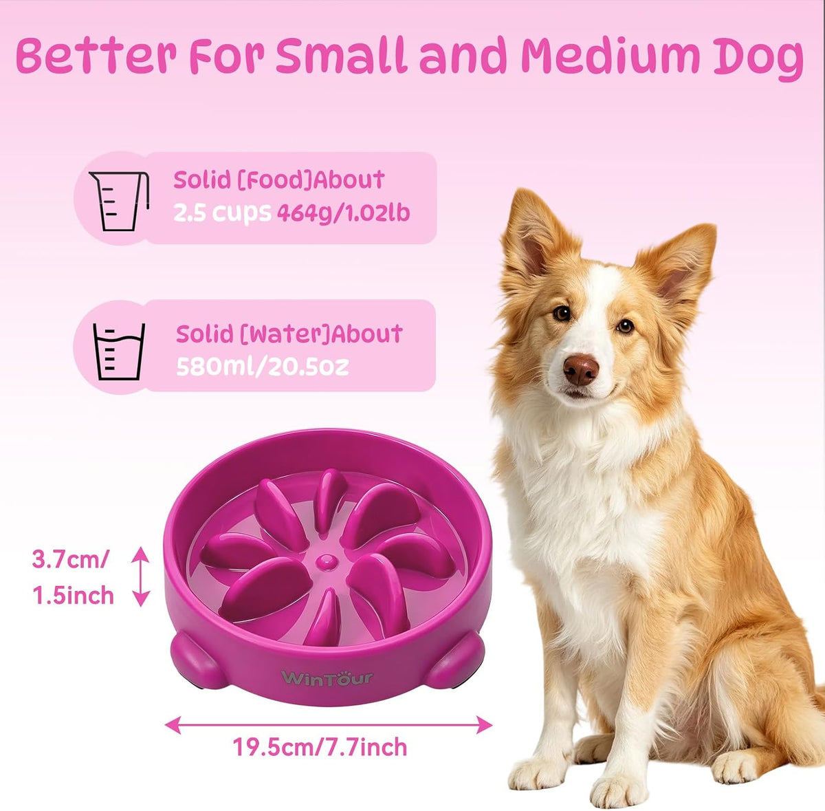WinTour Slow Feeder Dog Bowls for Small Medium Pets, Round PP Dish, 1 Pack
