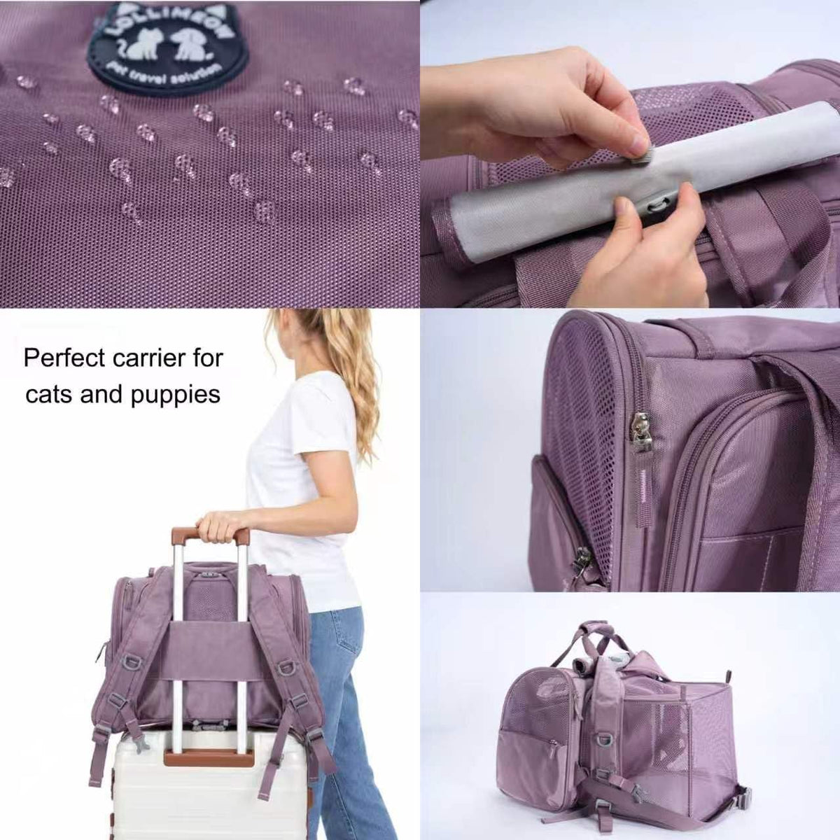 Lollimeow Expandable Large Cat Carrier Backpack, Supports up to 22 lbs