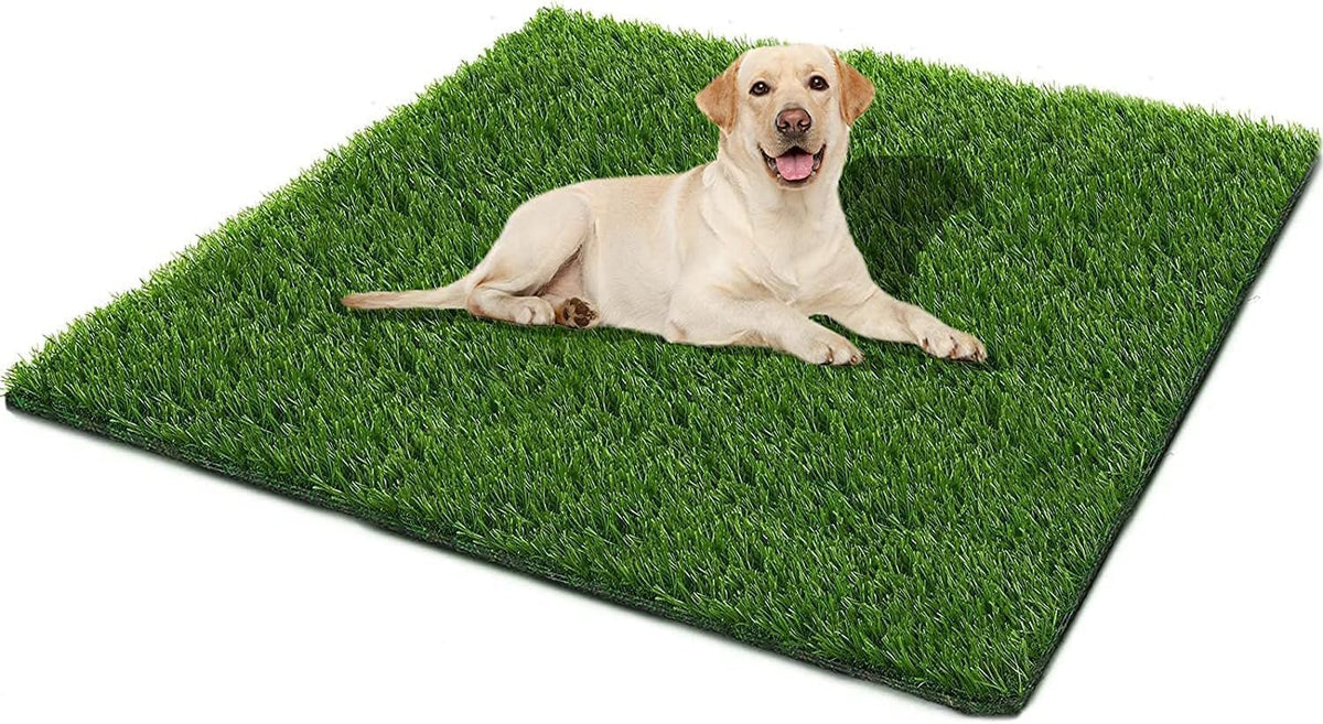 Dog Grass Pad,51.1x31.8In Fake Grass for Dogs,Artificial Grass for Dogs Potty Pee Pad Training Indoor Outdoor