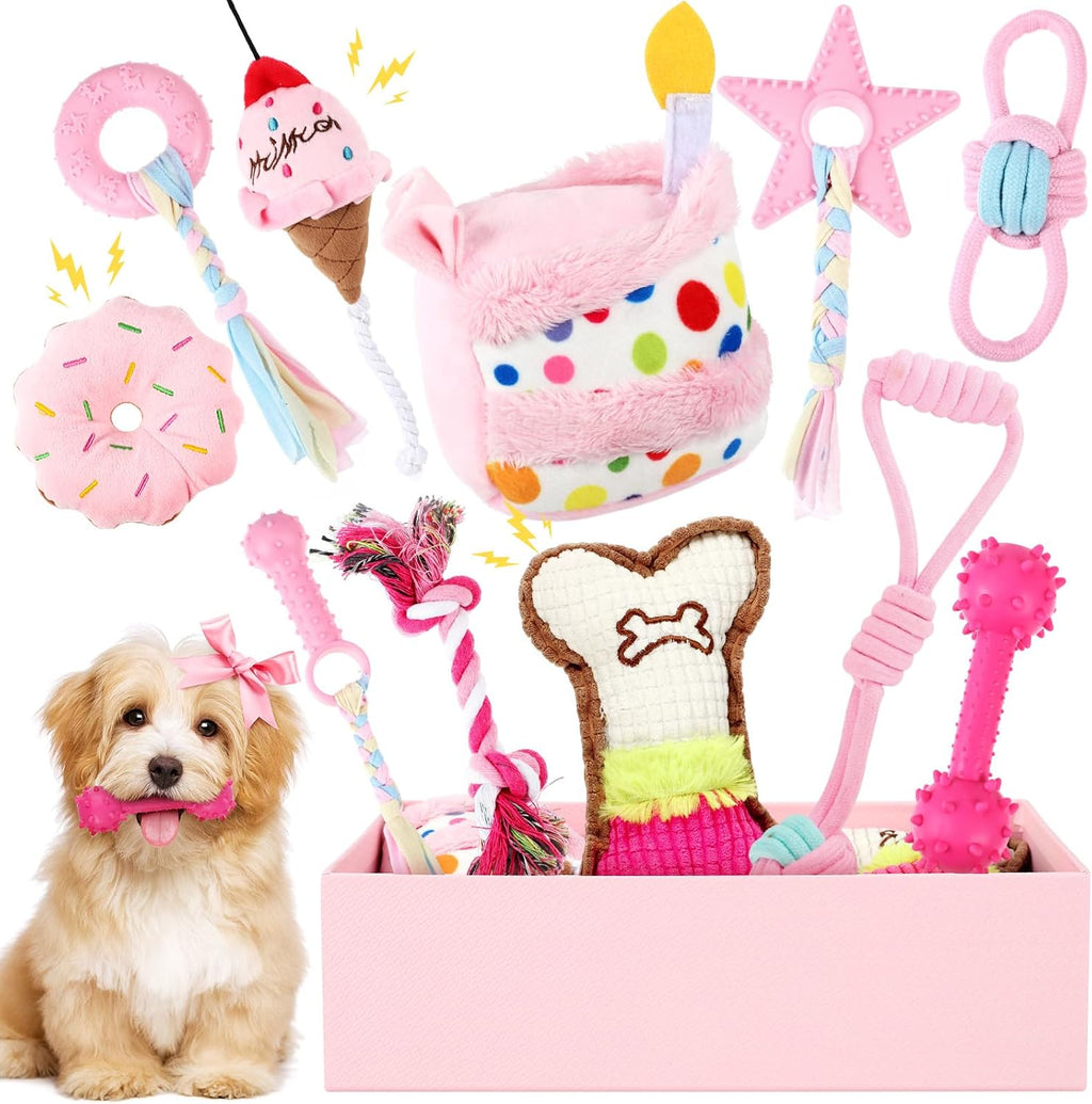 RoundFunny 11 Pcs Dog Birthday Toys Gift with Box, Classic, Pink