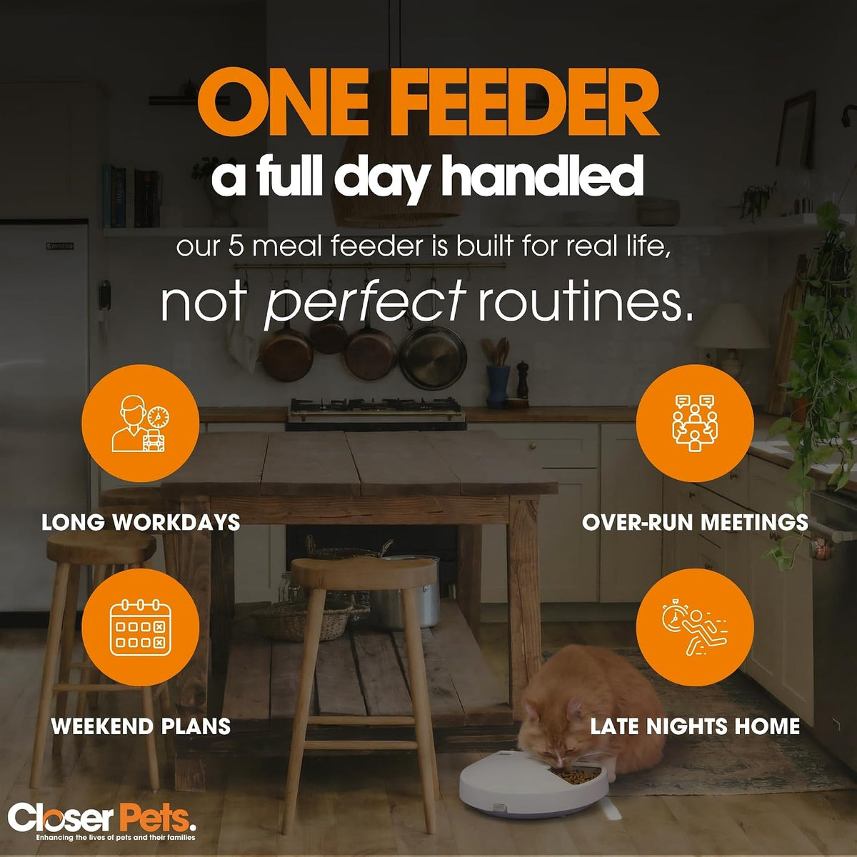 Cat Mate 5-Meal Automatic Pet Feeder, 330g per Bowl, Wet & Dry Food, White