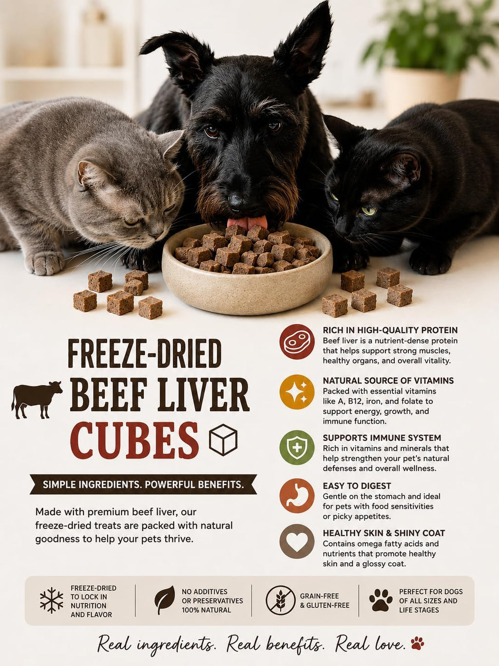 Freeze Dried Single Source Beef Liver Cubes Dog & Cat Treats Food Topper - Raw Bits Training Treasure, Possess Strong Aroma & Flavor Encourage Picky Eaters, High-Protein Recipe (2.0 oz, Beef Liver)