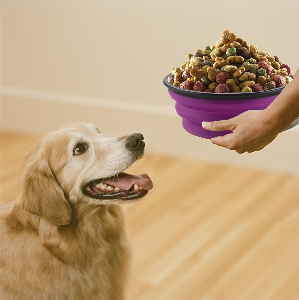 Large Collapsible Dog Bowls, 34oz Portable Foldable Travel Water Bowl Food Dishes with Carabiner Clip for Traveling, Hiking, Walking, 2 Pack (Purple+Green) 