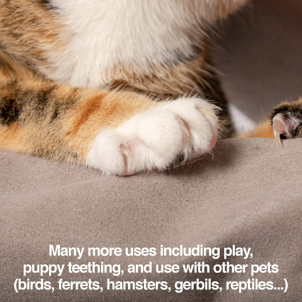 PetFusion Unisex Multi-purpose Pet Glove