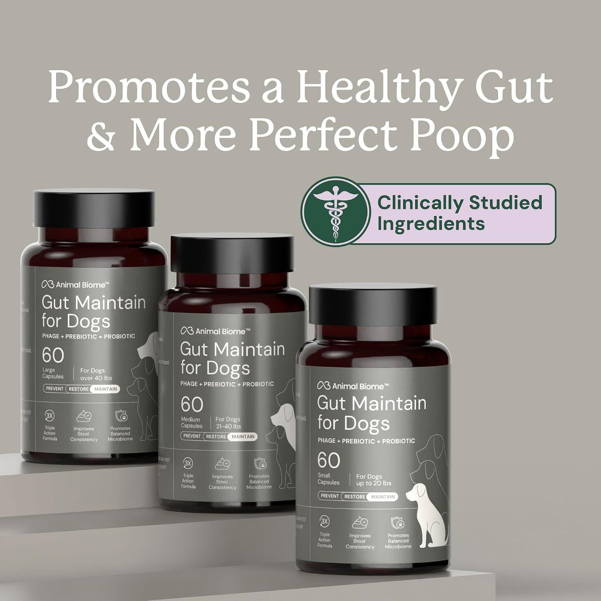 Animal Biome Large Dog Pre and Probiotics, S Boulardii, Gut Maintain, 60 Ct