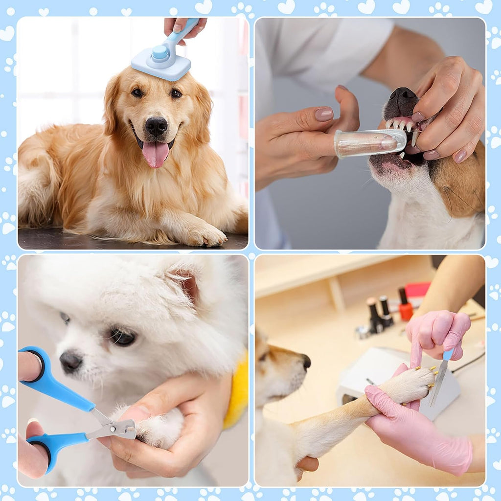 VCZONE 8 Pcs Dog Brush Grooming Kits, Includes Pet Nail Clipper and File, Flea Comb, Pet Shampoo Bath Brush, Pet Shedding Brush, Pet Dematting Comb, Silicone Toothbrush (Blue)