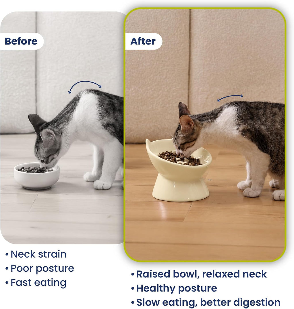 PawsPik Lynx Ceramic Raised Slow Dog & Cat Elevated Food Bowl, Daisy Yellow