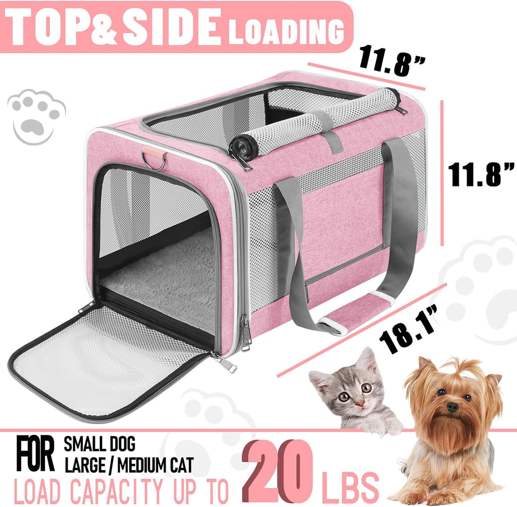 GAPZER Large Cat Carrier Soft, Collapsible Travel Pet Carry Bag, Small Dogs