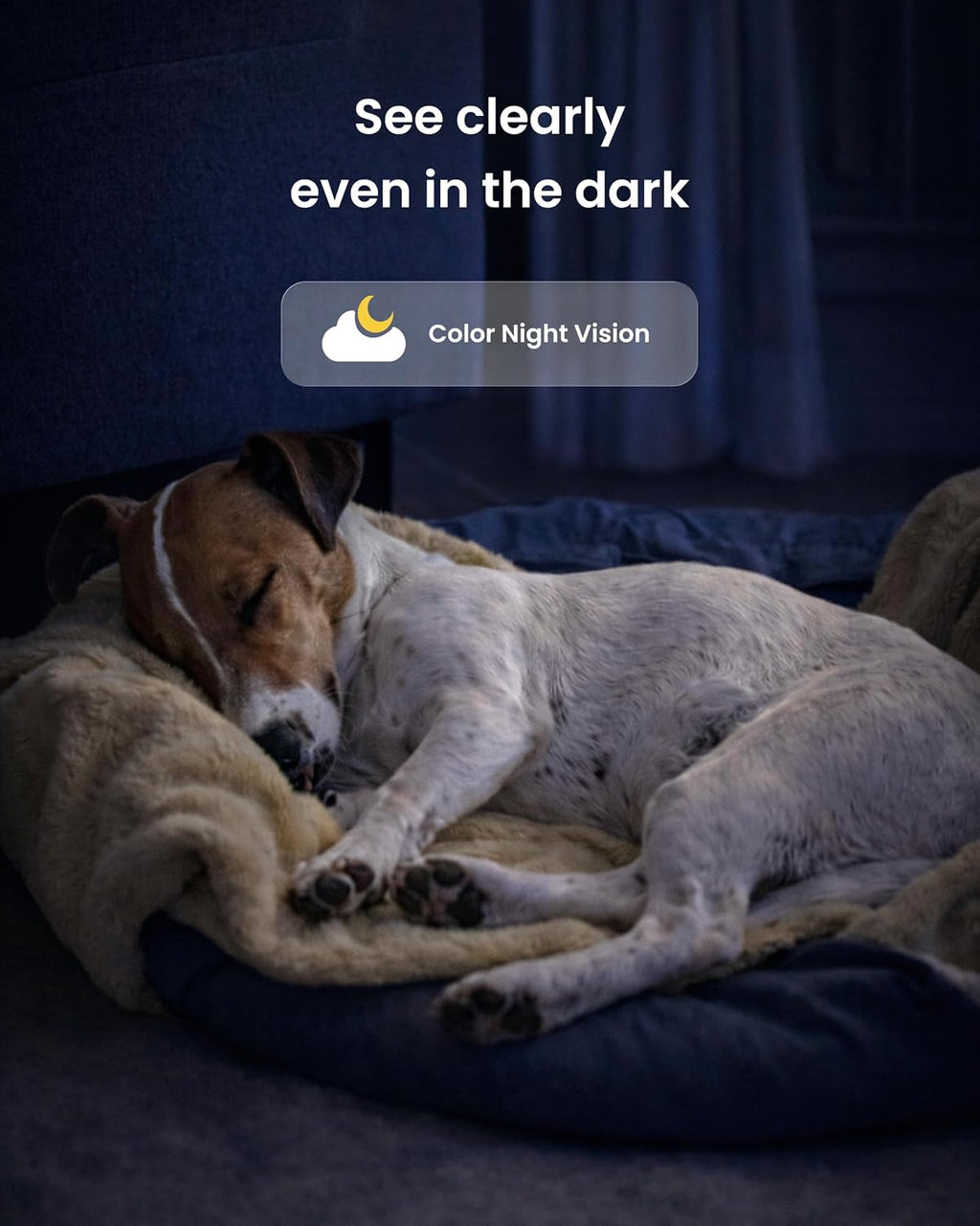 Furbo 360° Dog Camera [6-Month Subscription Included]