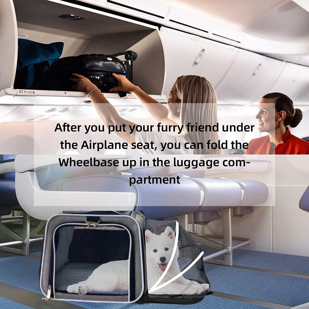 Ruff Life 101 Airline Approved Expandable Premium Pet Carrier on Wheels- Two Sided Expandable Rolling Carrier- Designed for Dogs & Cats- Extra Spacious Soft Lined Carrier! (Blue)