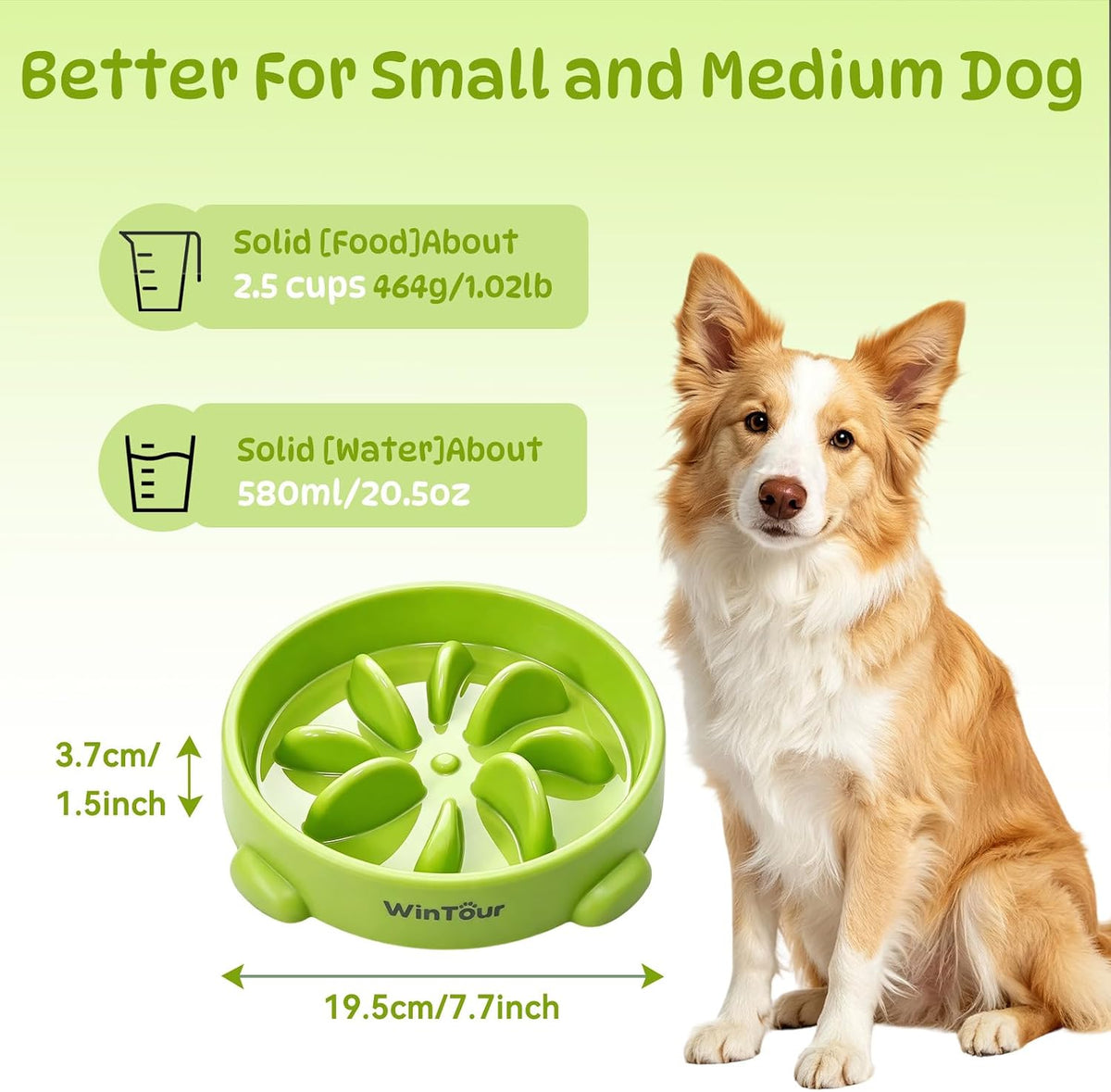 WinTour Slow Feeder Dog Bowls for Small Medium Pets, Round PP Dish, 1 Pack