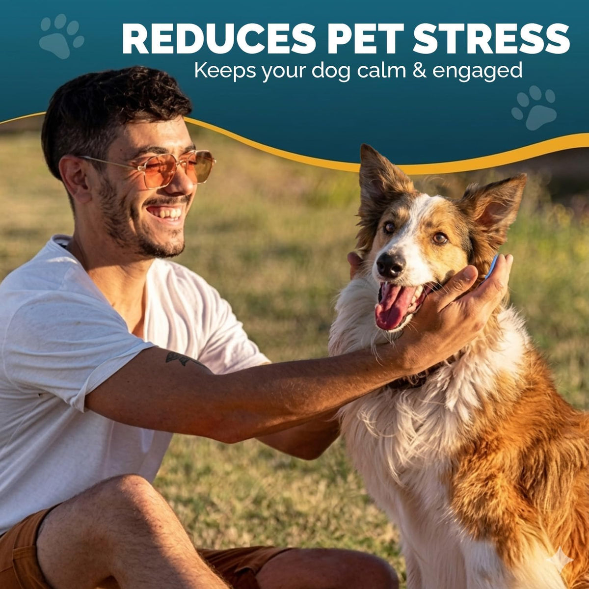 PET ARENA Adjustable Dog Snuffle Mat, Interactive Feeding Enrichment Toy | Encourages natural foraging, slows eating, reduces boredom, and provides mental stimulation for pets of all ages.