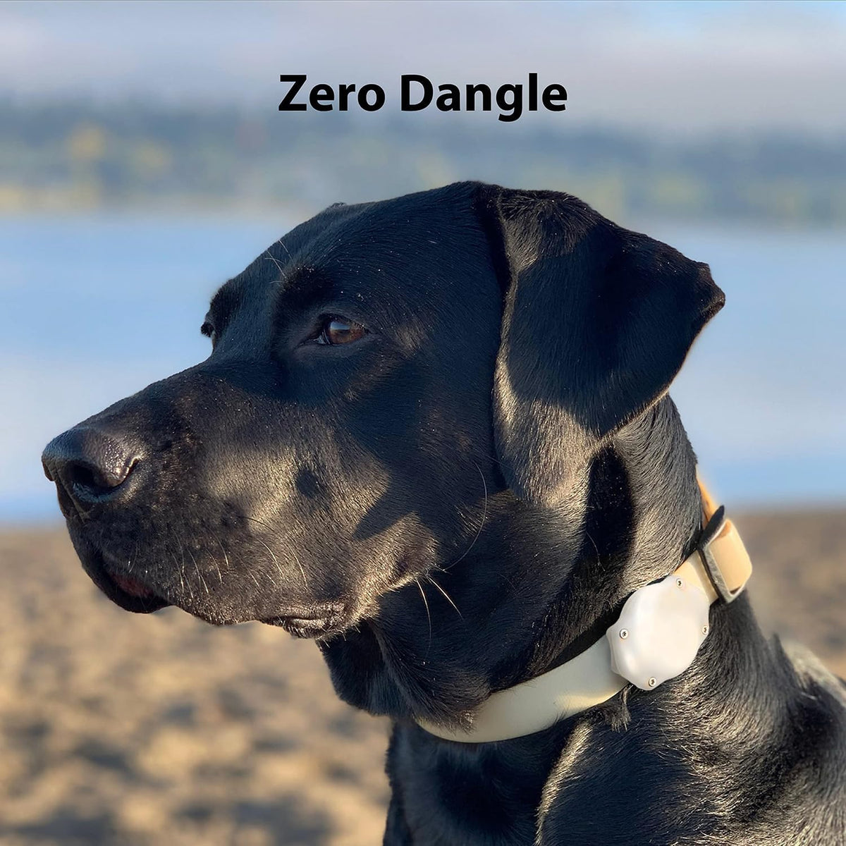 AirTag Dog Collar Holder - Waterproof - Elevation Lab (2 Pack)