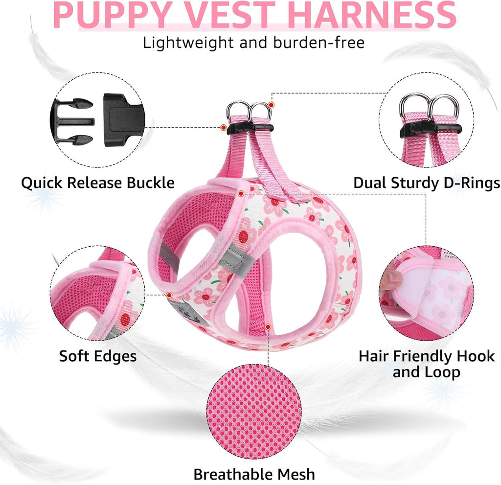 SCENEREAL Small Dog Harness Collar and Leash Set,Cute Puppy Harness No Pull