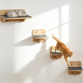 Cat Wall Shelves - Wood Cat Shelves for Wall with Scratching Mat, Floating Kitty Stairs & Steps for Climbing, Jumping and Napping