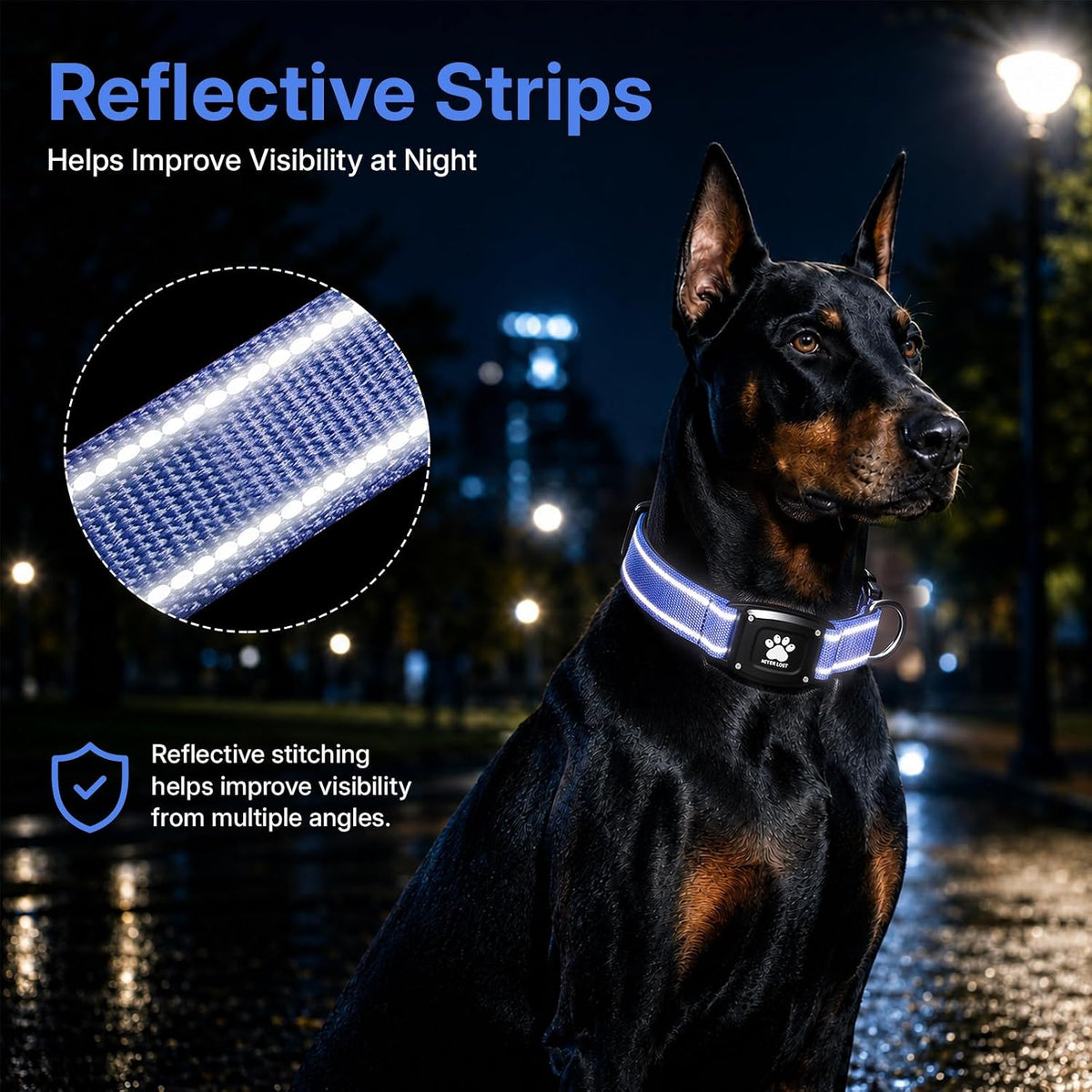 GPS Dog Collar with Tracker, Waterproof, No Monthly Fee, Blue, S