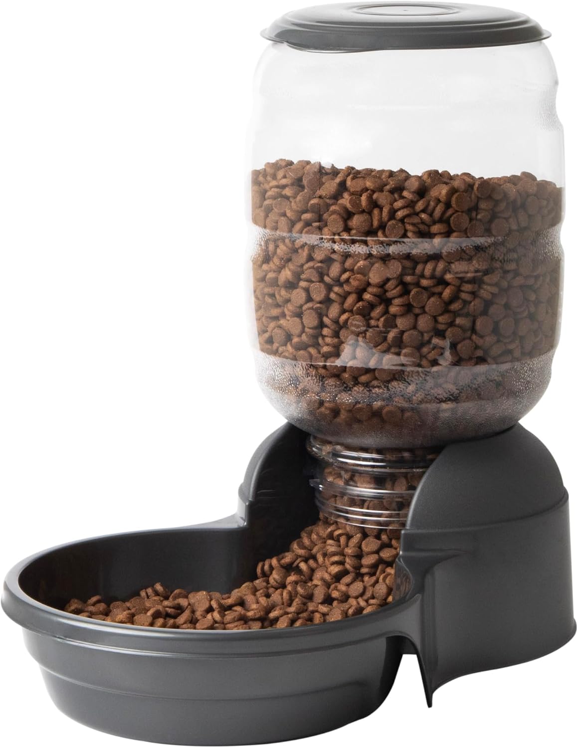 Petmate Replendish Automatic Dog Feeder, Microban Protection, 10lbs