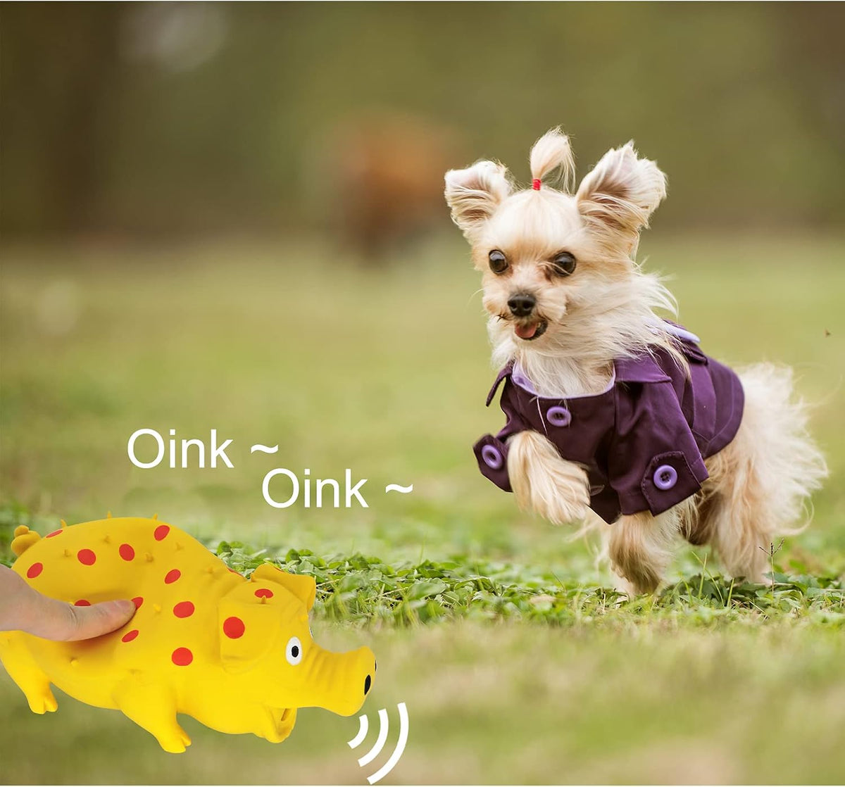 Andiker Dog Squeaky Toy, Dots Latex Dogs Chew Toys with a Oinks Sound Squeaker Grunting Pig Dog Toy Durable Self Play 8" Dogs Squeeze Toy for Dental Biting Chasing to Kill Boring Time (Yellow)