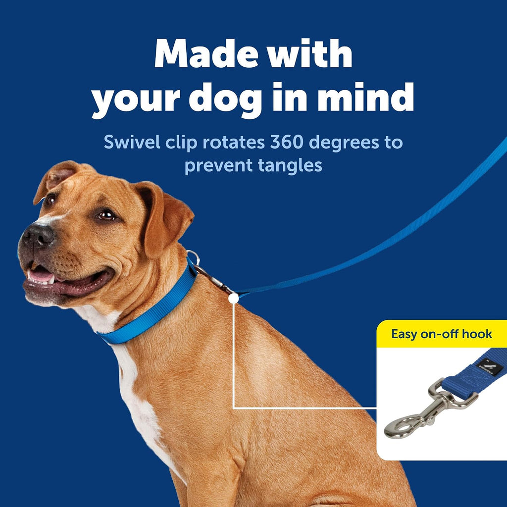 PetSafe Nylon Dog Leash - Strong, Durable, Traditional Style Leash with Easy to Use Bolt Snap - 1 in. x 4 ft., Royal Blue