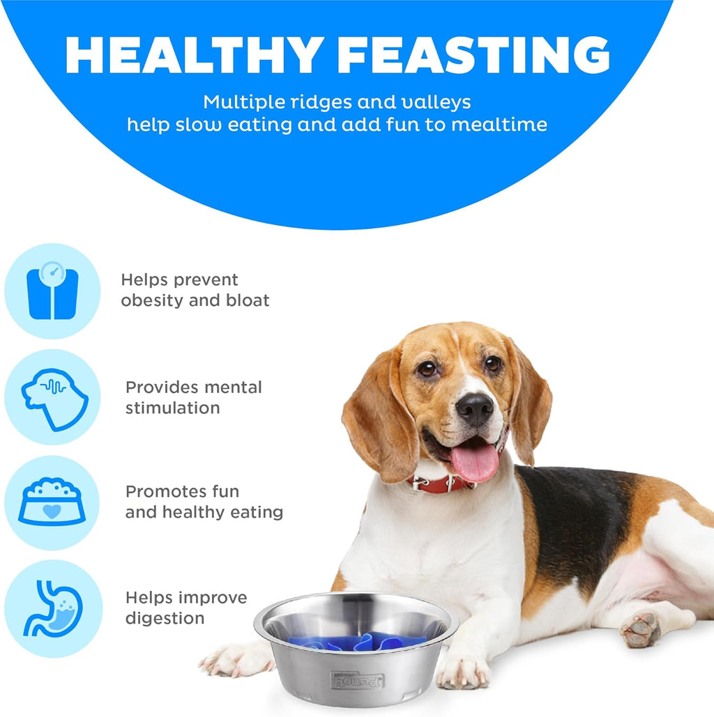 Outward Hound Fun Feeder Stainless Steel Slo Bowl for Dogs, Medium, 8.3" | Slows Fast Eaters, Can Aid Digestion, Holds 2 Cups Dry or Wet Food, Removable Maze, Non-Slip, Fits Raised Feeding Stations 