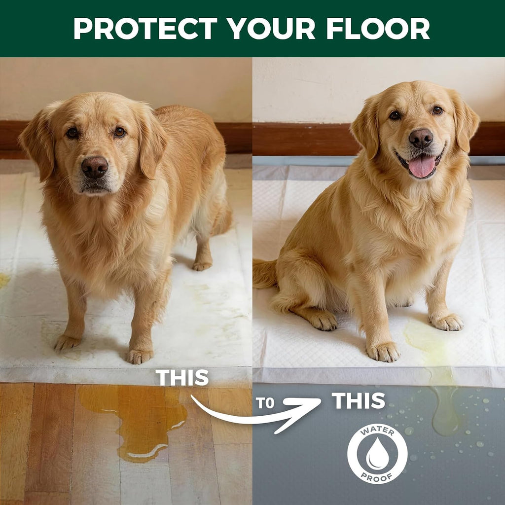 FXW Floor Protector Mat, Waterproof PVC, 50" x 31.5", Gray