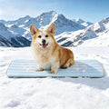 Dog Cooling Mat, 35" x 23" Non-Slip Self-Cooling Summer Pet Mat