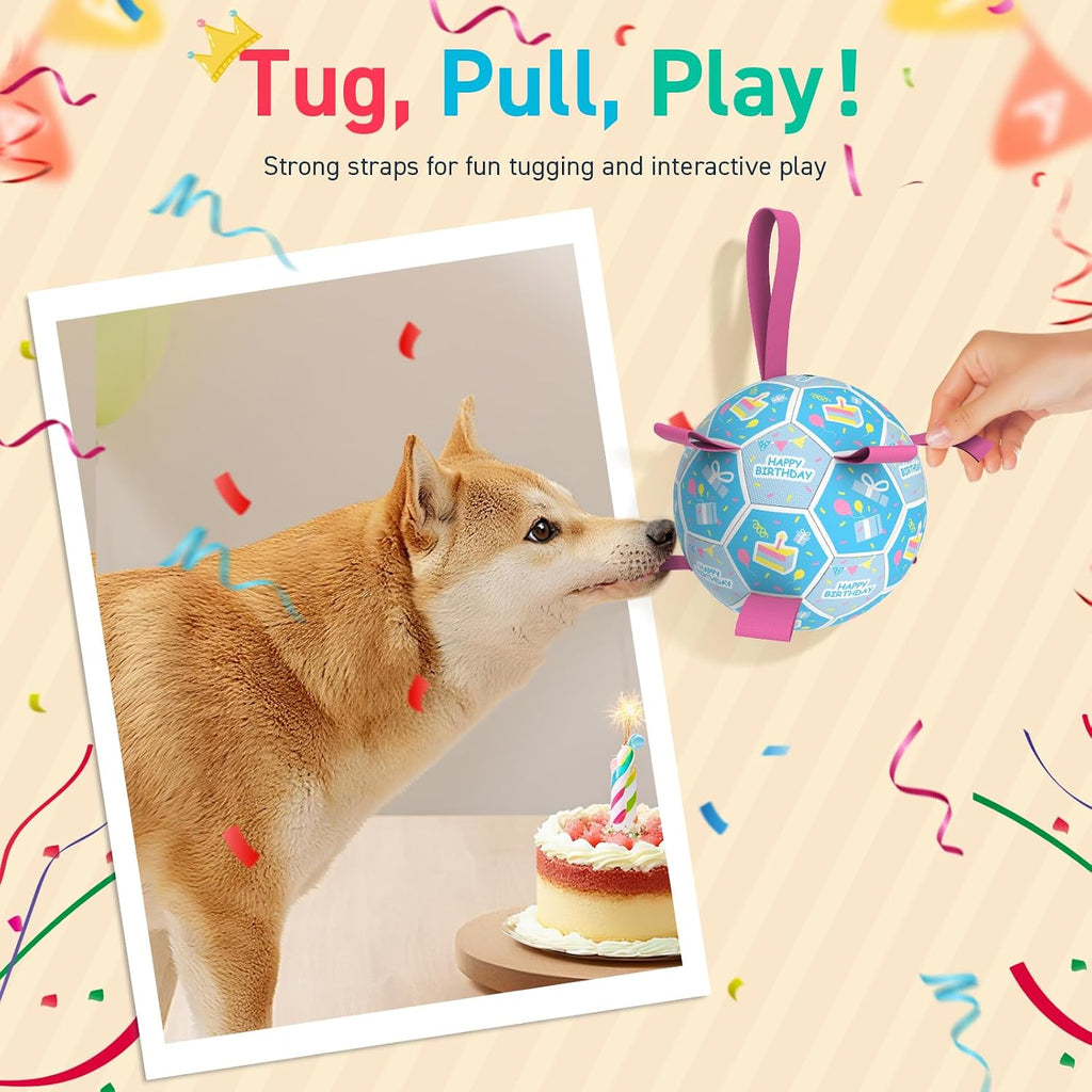 QDAN Dog Birthday Toys, Puppy Birthday Gifts, Dog Soccer Ball with Straps | 8 Inch Outdoor Herding Balls for 30-90 lbs Dogs, Interactive Training Soccer Toy for Tug of War, Dog Ball to Keep Them Busy