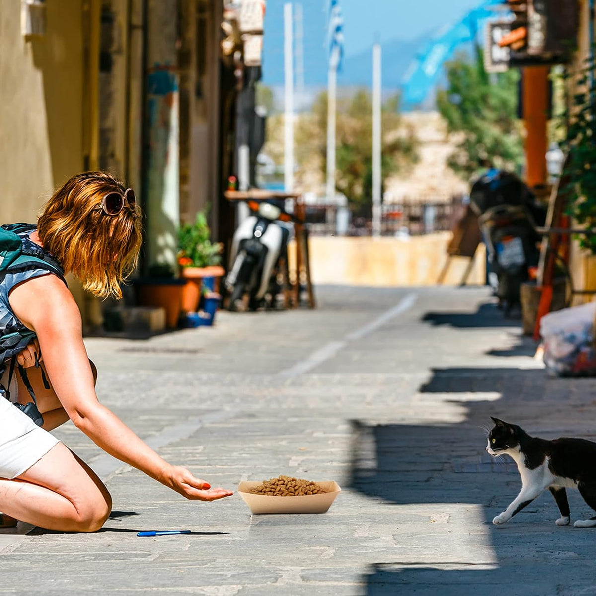 50 Pack Disposable Paper Dog Bowls, 16 oz for Dogs and Cats | Low-sided 16 oz Kraft Paper Trays for Wet or Dry Food, Suitable for Small Dogs, Puppies and Cats at Home, Travel or Camping