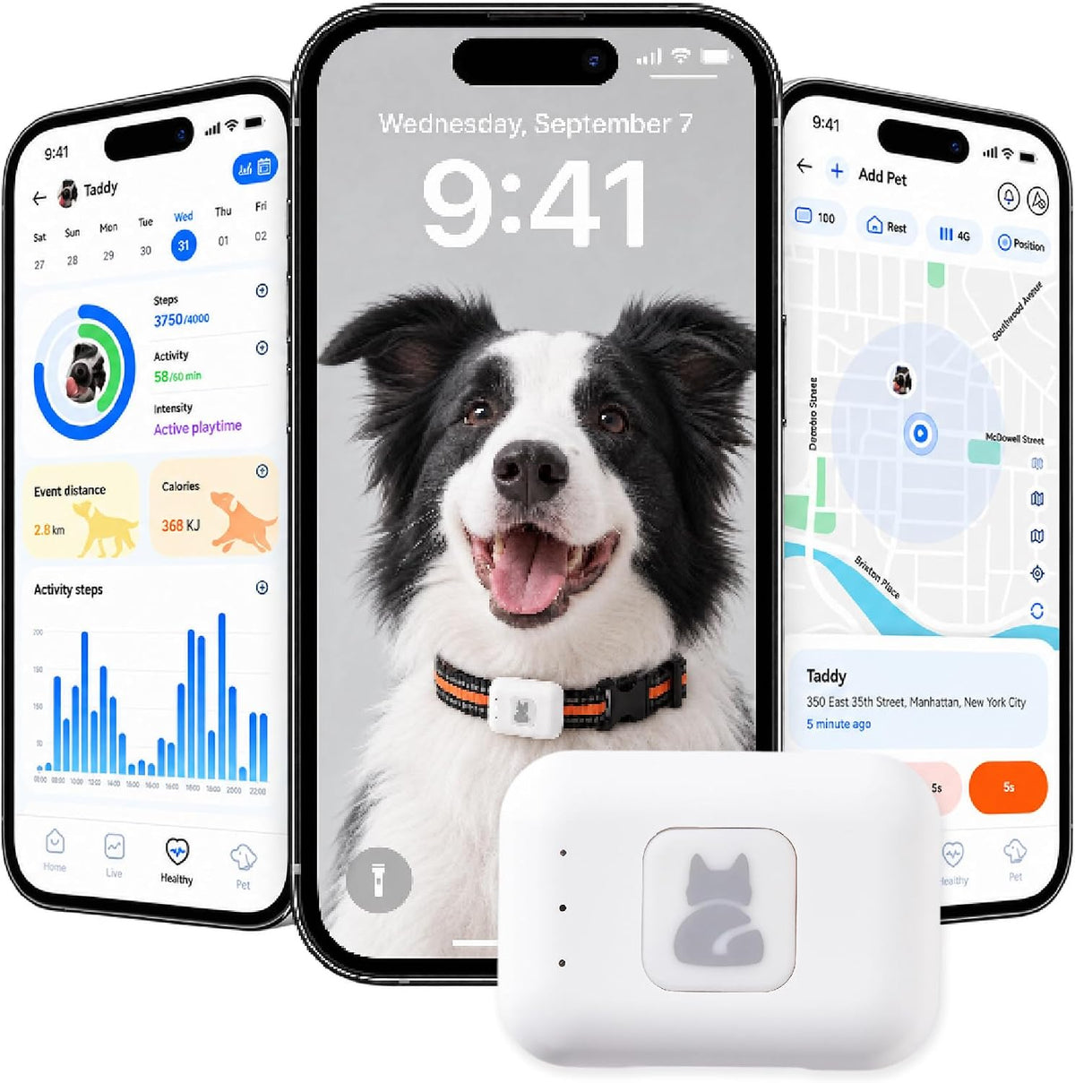 Dog Tracker GPS, Real Time Tracking & Virtual Fence 1-Year Service Included