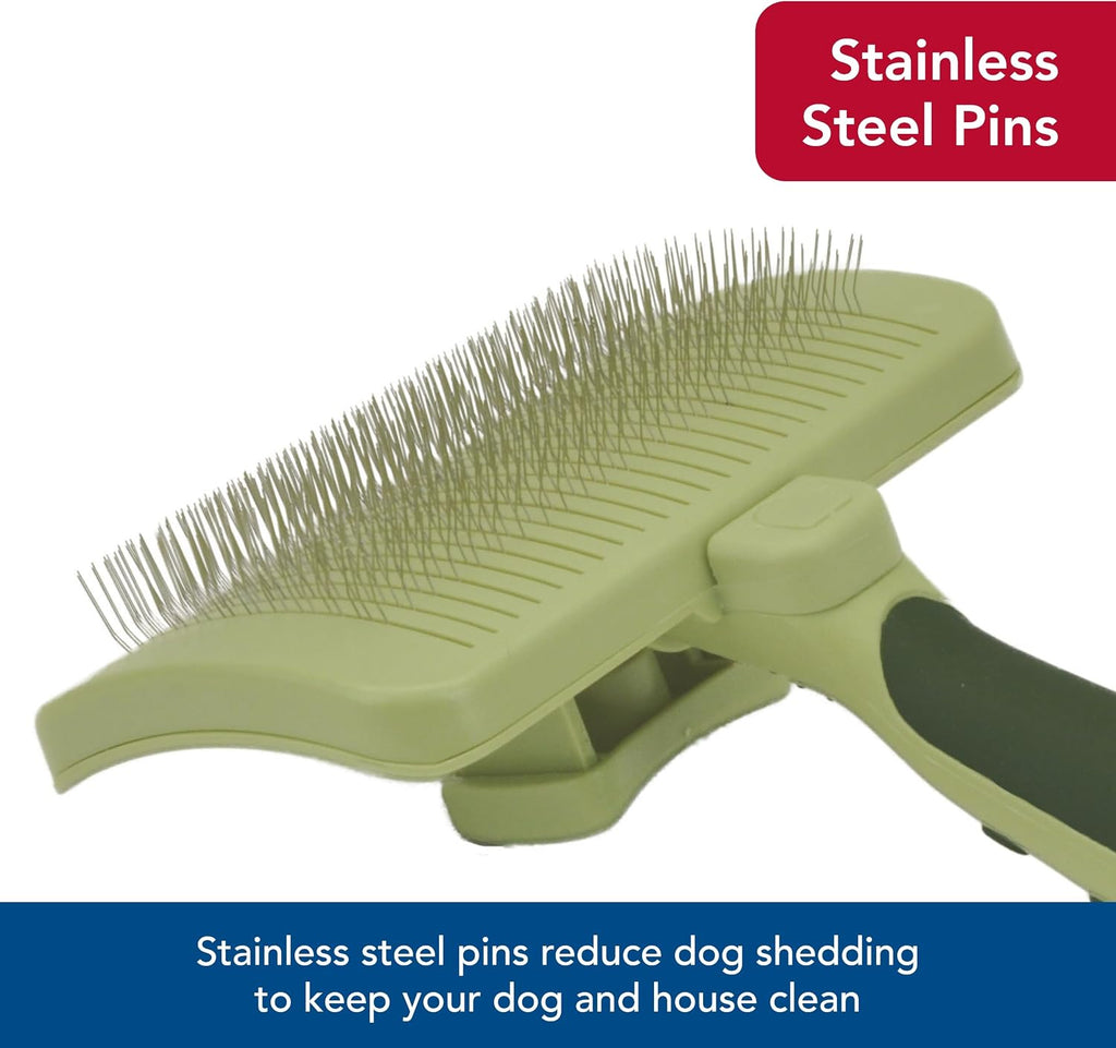 Coastal Pet Safari Dog Self-Cleaning Slicker Brush - Dog Deshedding Brush - Prevents Mats and Tangled Hair - For Dogs with Short or Long Hair - Medium - 4.25" x 4.06" 
