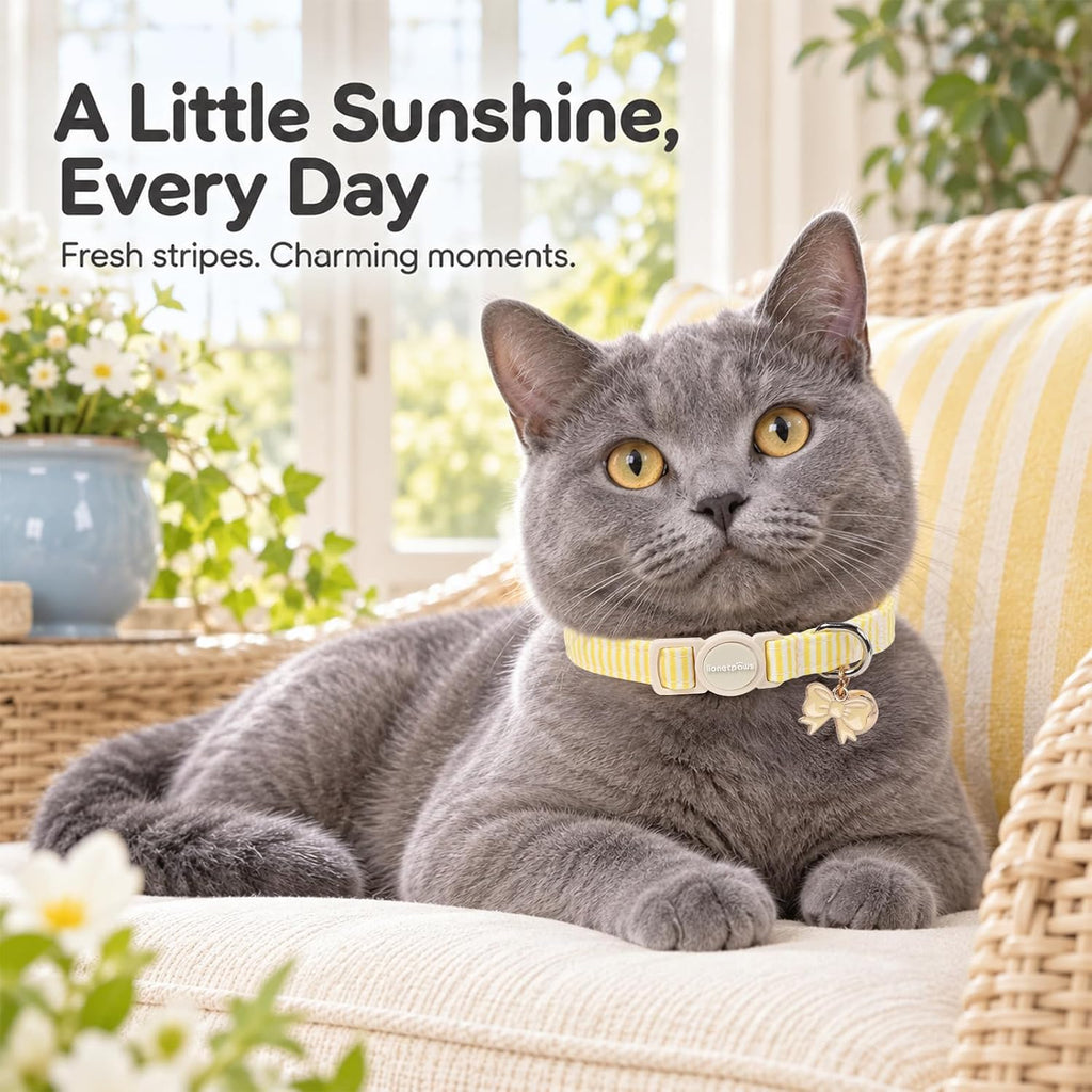 lionet paws 2 Pack Cat Collar Breakaway with Bells-Blue & Yellow Stripe