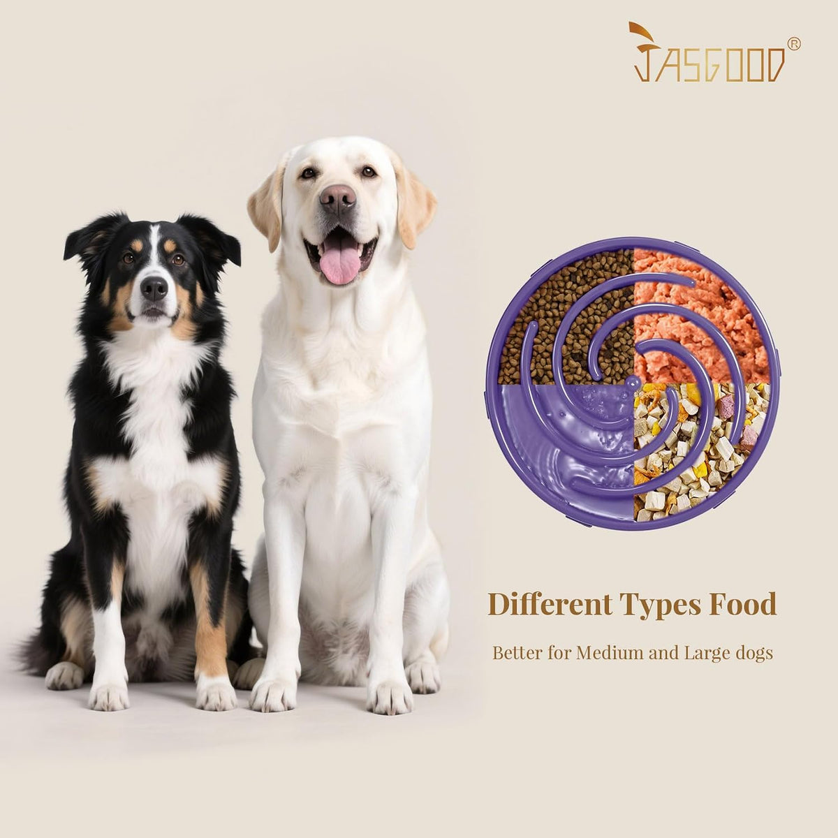 JASGOOD Slow Feeder Bowl for Large Dogs, Anti-Gulping Pet Bowl, Prevents Bloat & Choking 