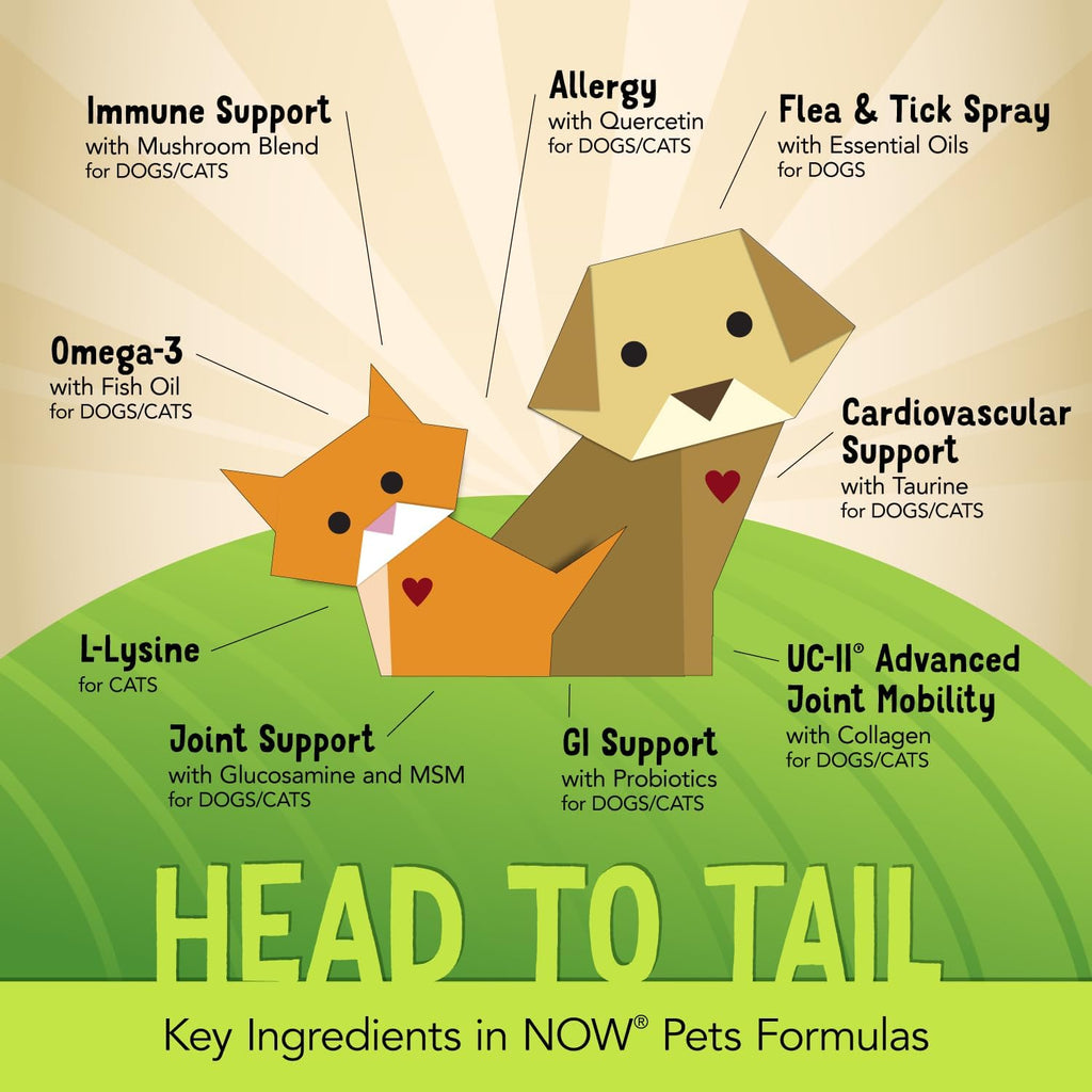 Now Pet Health,L-Lysine Supplement,Powder,Formulated for Cats,NASC Certified,8-Ounce,(Pack of 2)