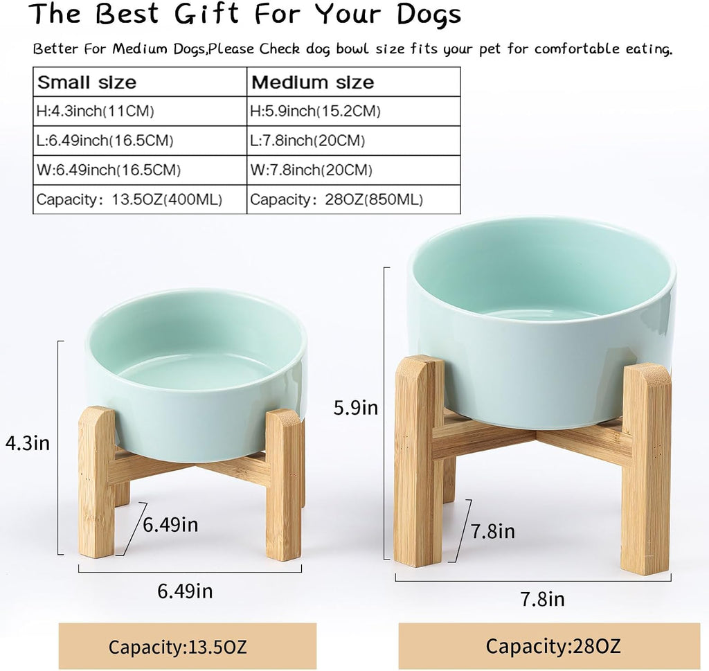 Petygooing Elevated/Raised Ceramic Dog Bowl for Small Breeds, Dog Food Water Dish with Stand,Pet Feeding Bowl with Anti Slip Rubber for Cats and Small Dogs Puppy 13.5 OZ (5.1In / 1.7 Cups) Blue Sky 