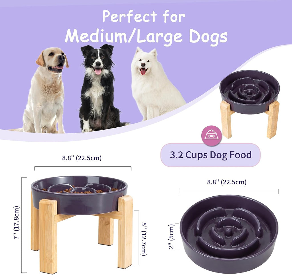 Elevated Slow Feeder Dog Bowl, 8.8" Ceramic Maze Dog Bowl with Stand