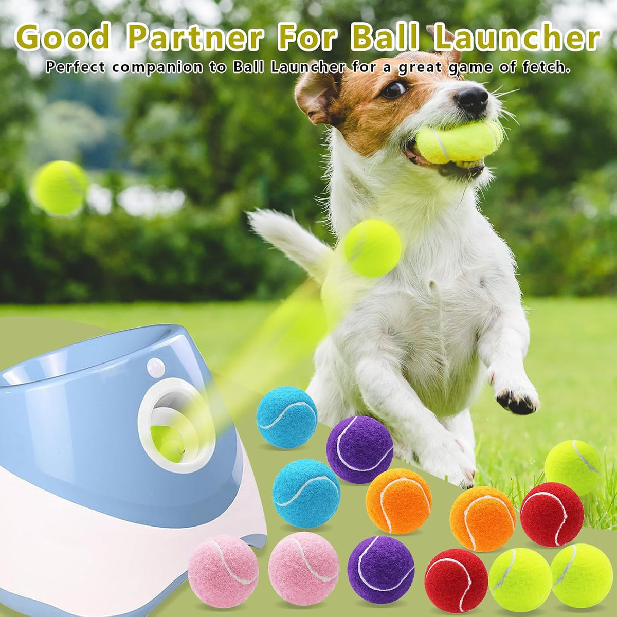 Magicorange Small Tennis Balls, 60 Pack 2 inch Tennis Balls for Dogs | Colorful Easy Catching,Playing Ball for Small Medium Breed Dogs,Bright Fluorescent Multicolor,with Mesh Bag
