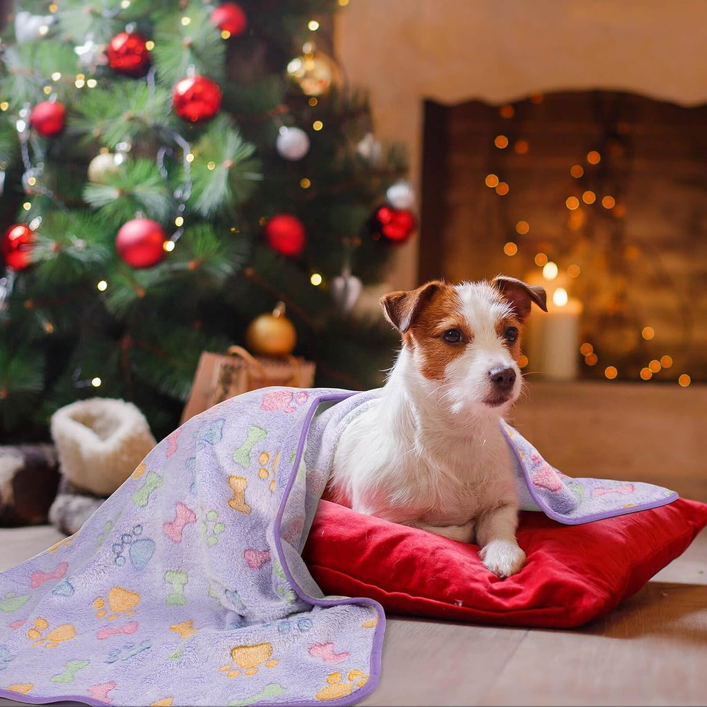 Dono 1 Pack 3 Dog Blankets, Soft Fluffy Fleece Pet Blanket Warm Sleep Mat Paw Print Design Puppy Kitten Throw Blanket Doggy Mat Blanket for Dogs