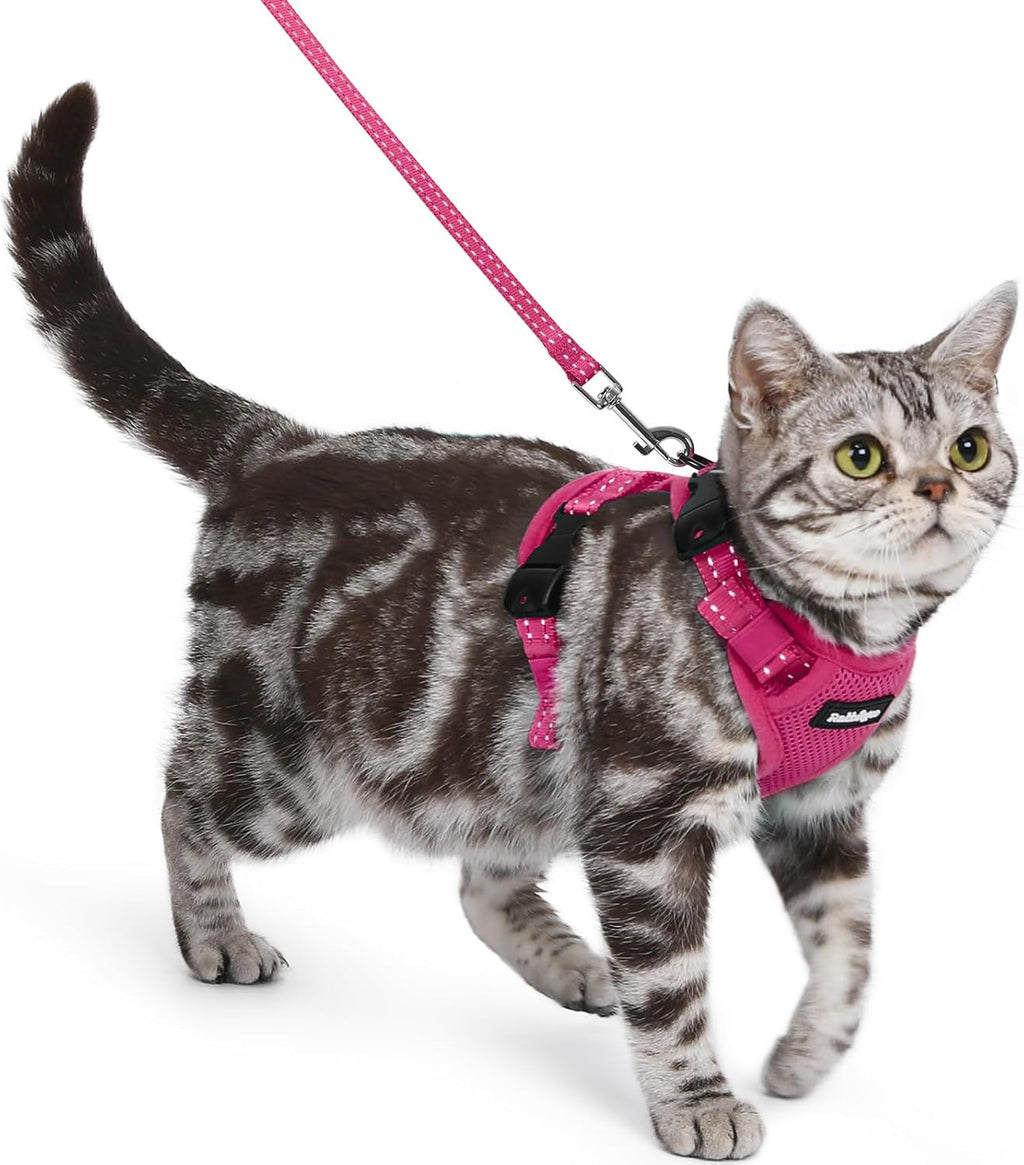 rabbitgoo Cat Harness and Leash Set, Easy-on with Neck Buckle, Rose Red