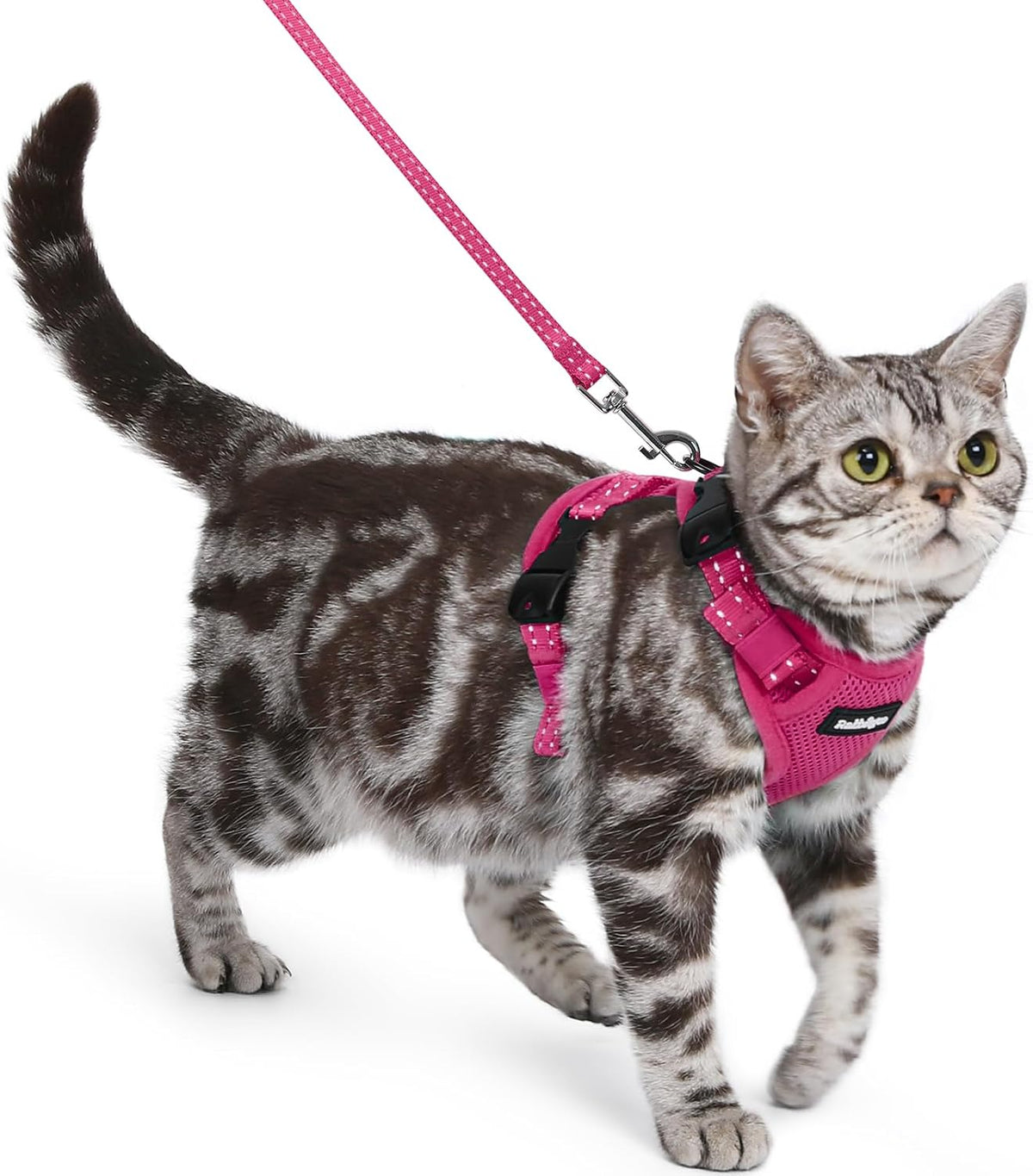 rabbitgoo Cat Harness and Leash Set, Easy-on with Neck Buckle, Rose Red