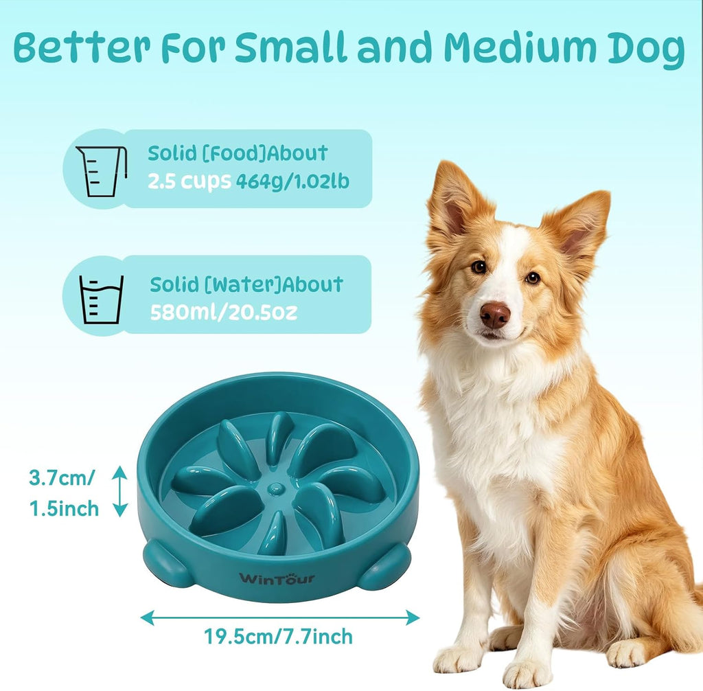 WinTour Slow Feeder Dog Bowls for Small Medium Pets, Round PP Dish, 1 Pack