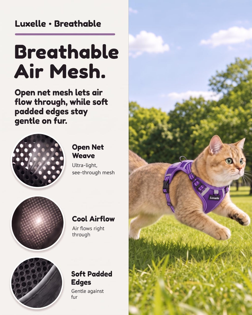 Luxelle Escape Proof Cat Harness with Retractable Leash & Wrist Strap Set