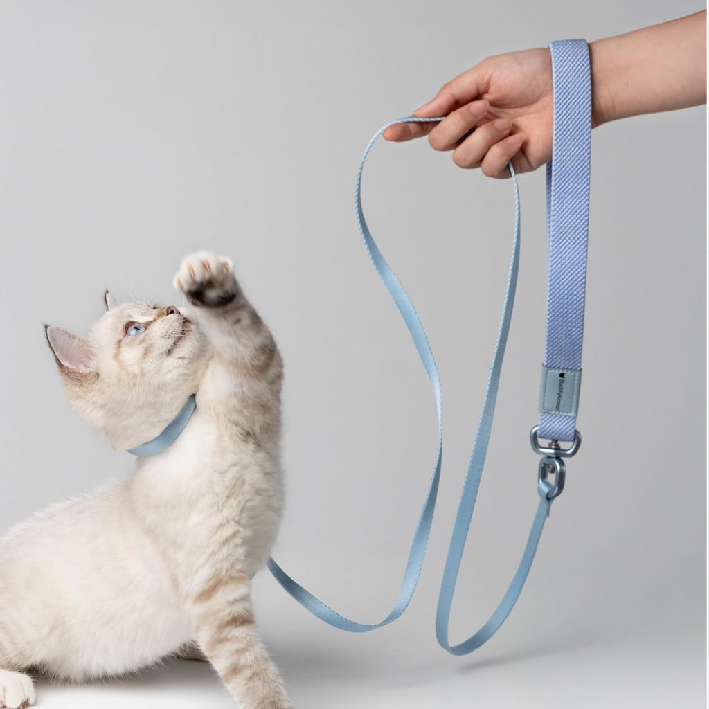 Cat Harness and Leash 2-in-1, Escape Proof Anti-Choking Harness Adjustable Lightweight Leash One-Piece Non-Detachable for Kitten Cats Outoor Walking Training, US IDA Bronze Award (Gray)