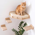 INICIO Cat Wall Shelves and Steps, 4-Piece Wooden Cat Wall Furniture Set